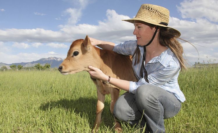 Verdienst Landwirt Verdienst Landwirt