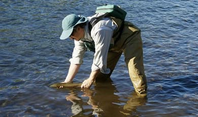 Bild des Berufs Fischwirt/in