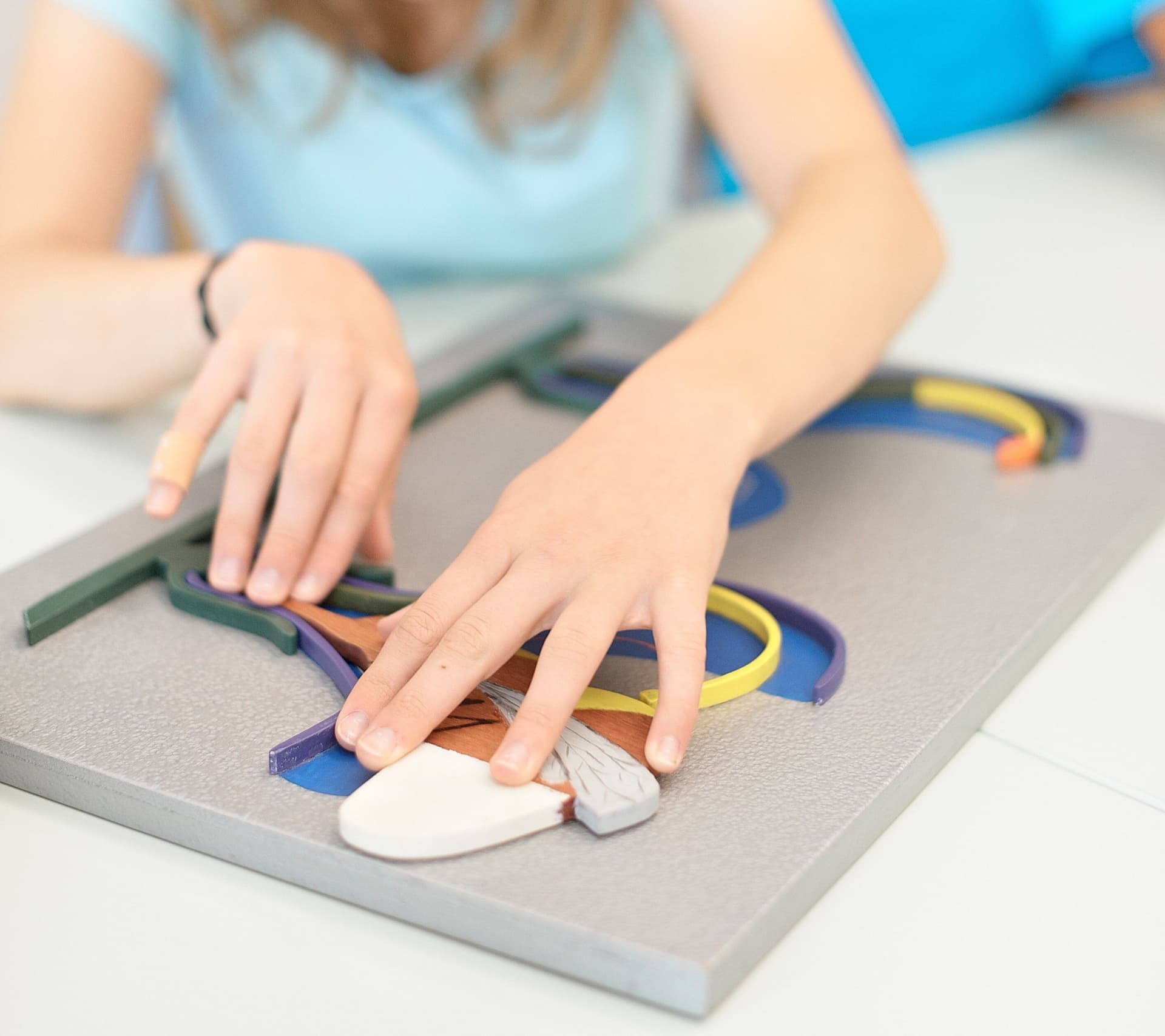 Bild Nr. 5 aus der Galerie