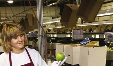 Bild des Berufs Fachkraft für Fruchtsafttechnik