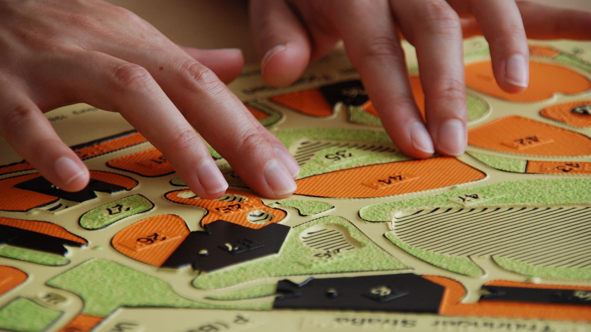 Bild Nr. 9 aus der Galerie