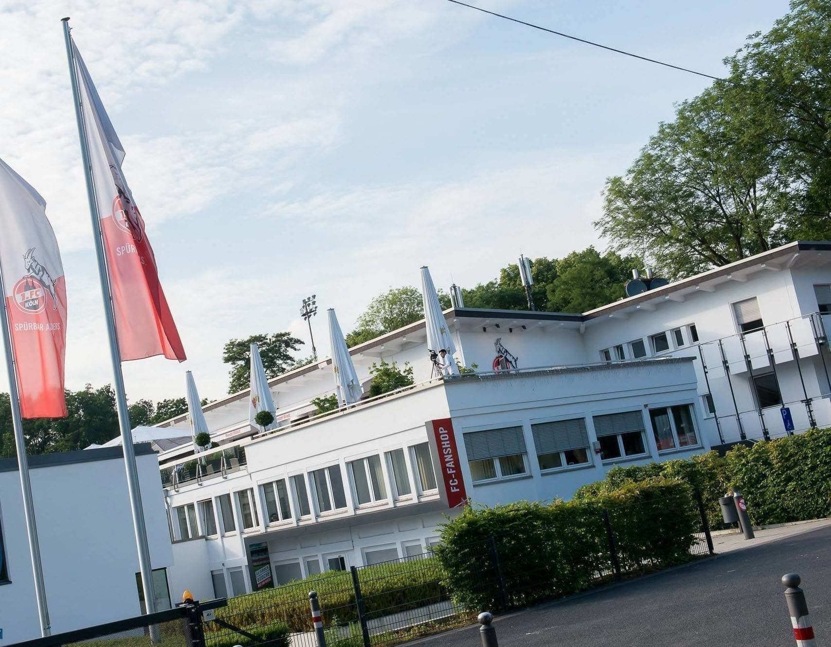 Bild Nr. 19 aus der Galerie