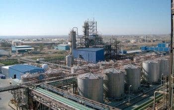 Bild Nr. 7 aus der Gallerie