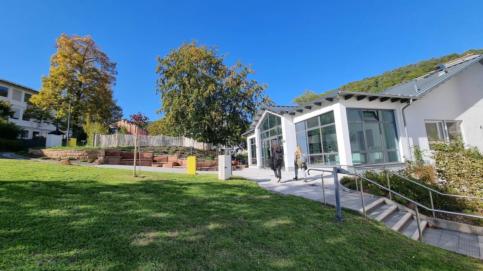 Bild Nr. 2 aus der Galerie