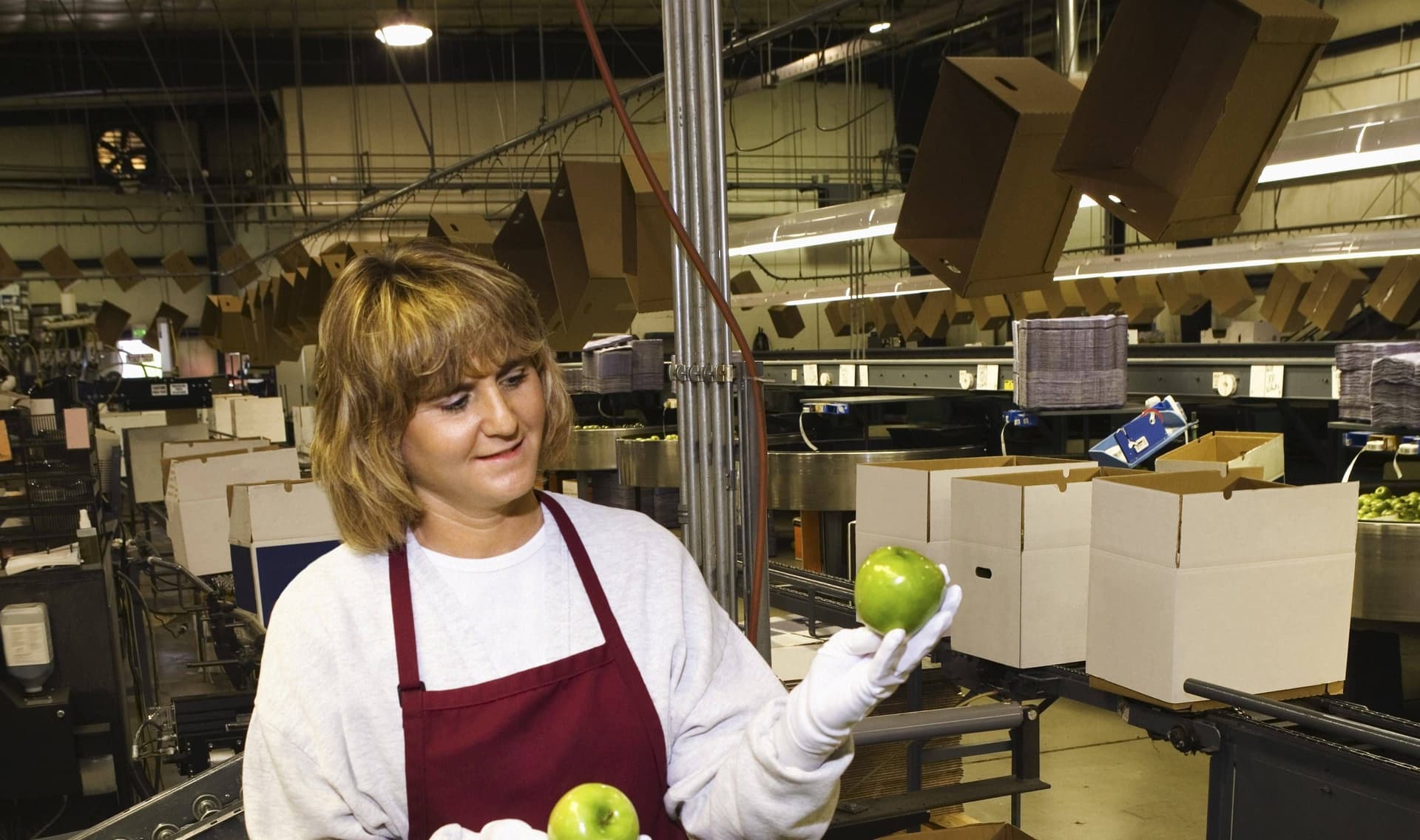 Bild aus dem Text zu Fachkraft für Fruchtsafttechnik