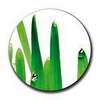 Logo von Helmich & Helmich GmbH