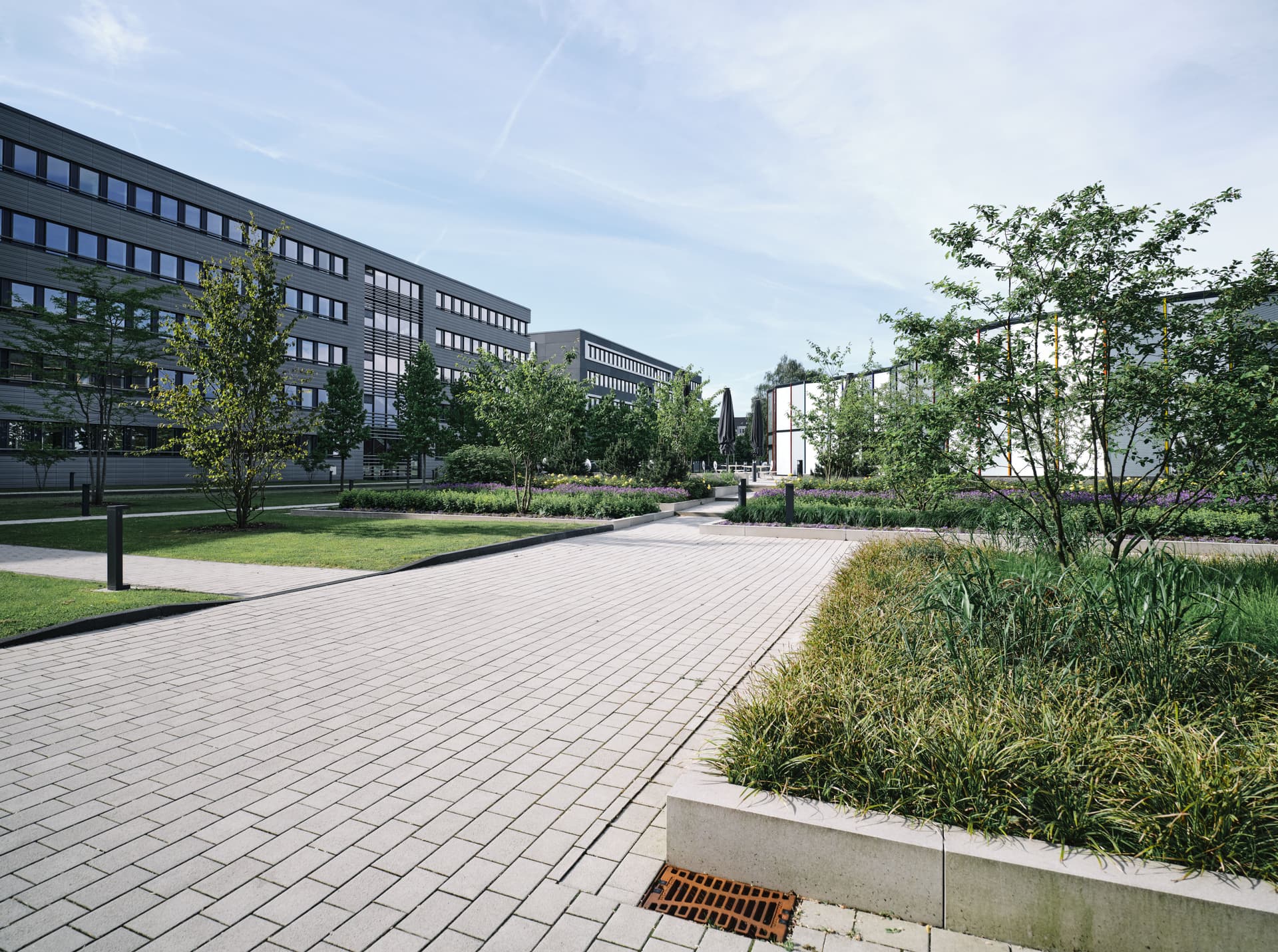 Bild Nr. 9 aus der Gallerie