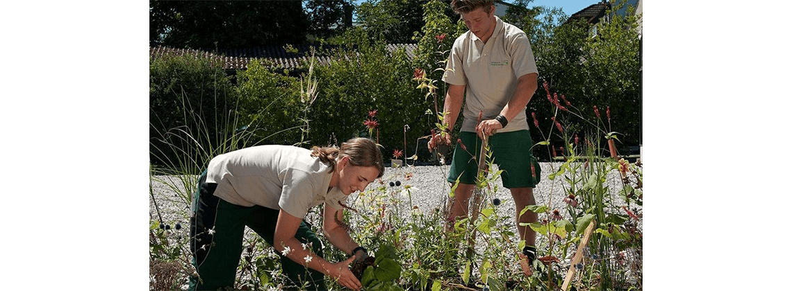 Ausbildung zum Landschaftsgärtner bei Die Landschaftsgärtner