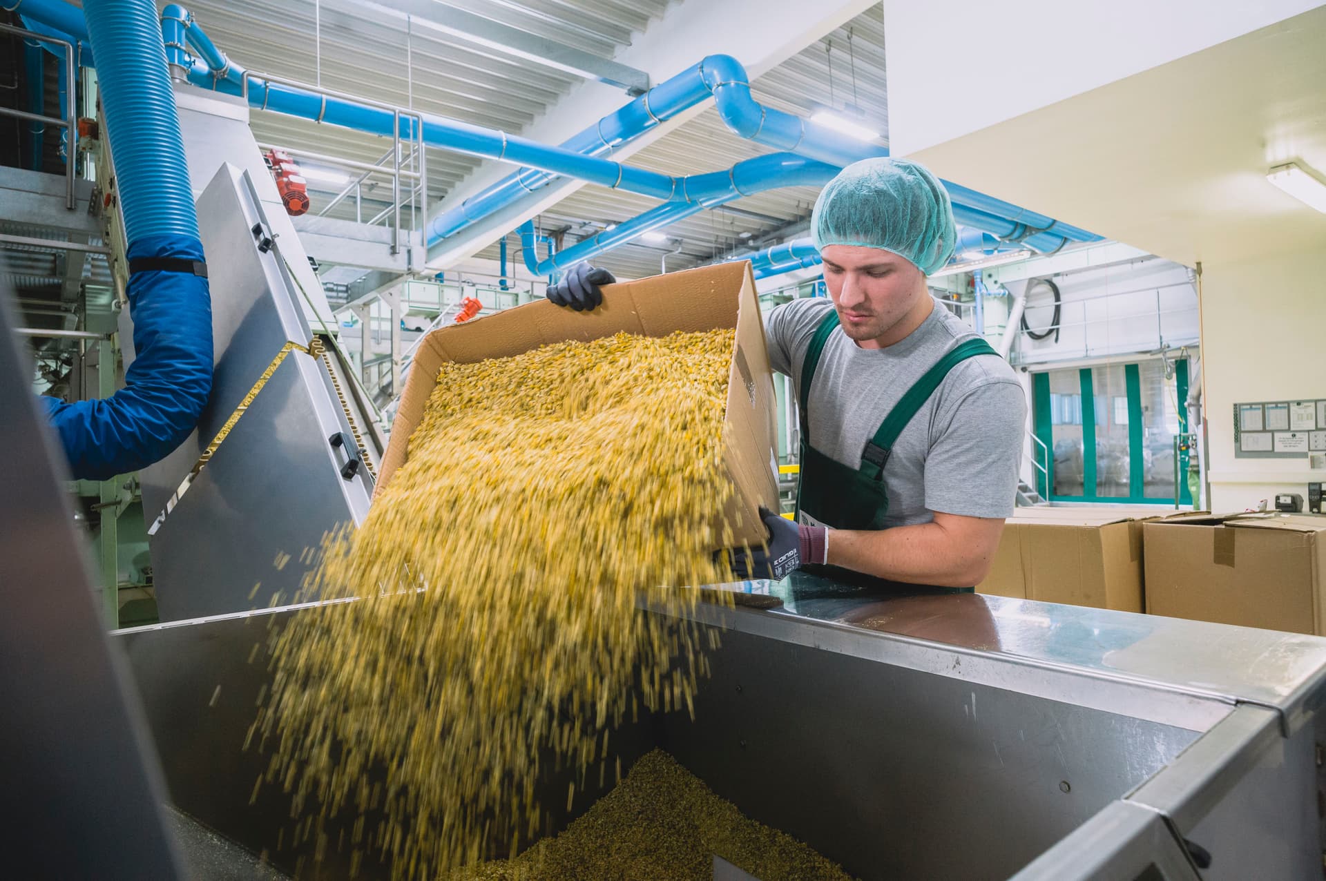 Bild Nr. 12 aus der Gallerie