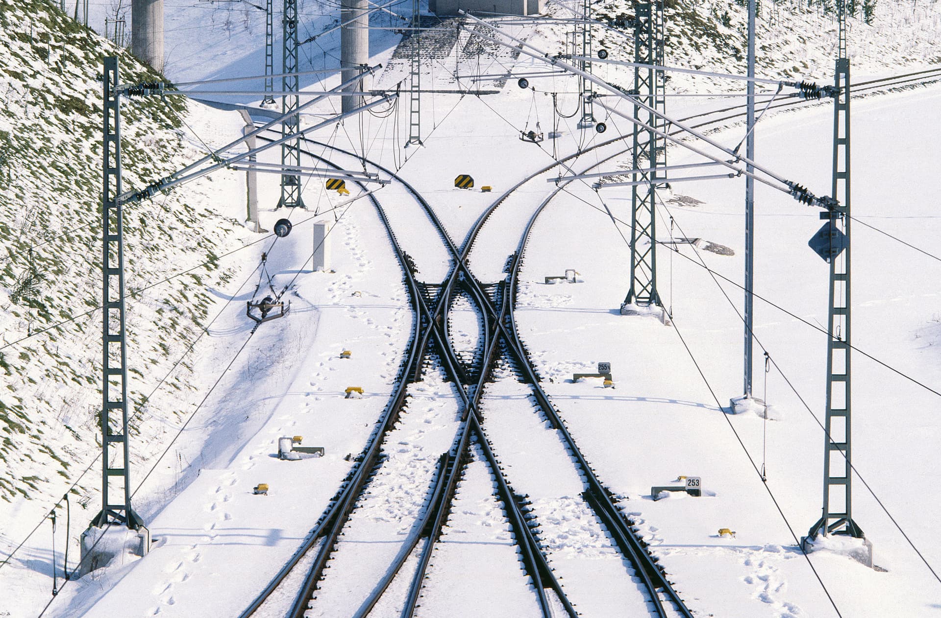 Bild Nr. 15 aus der Gallerie