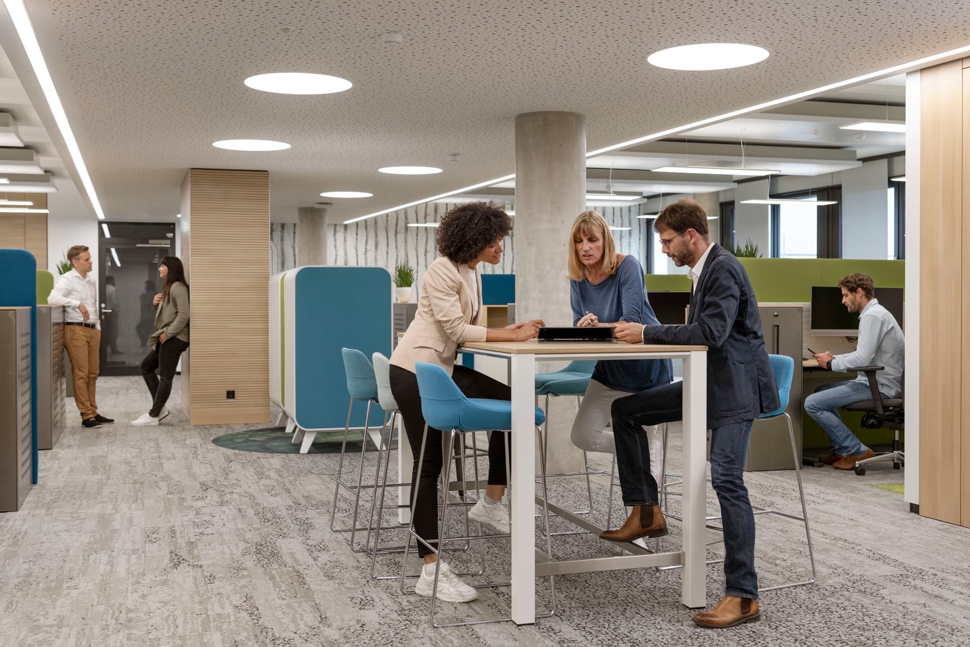 Bild Nr. 1 aus der Galerie