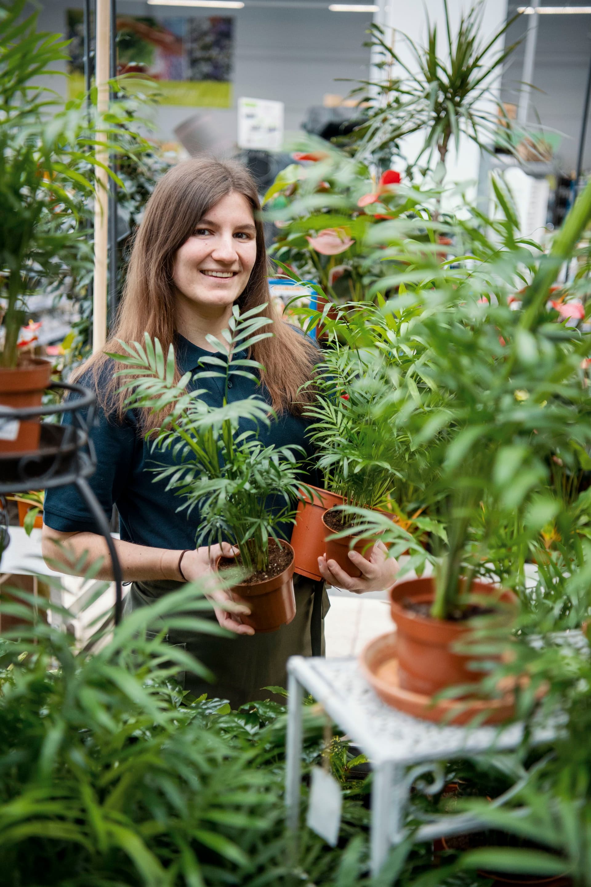 Bild Nr. 5 aus der Galerie