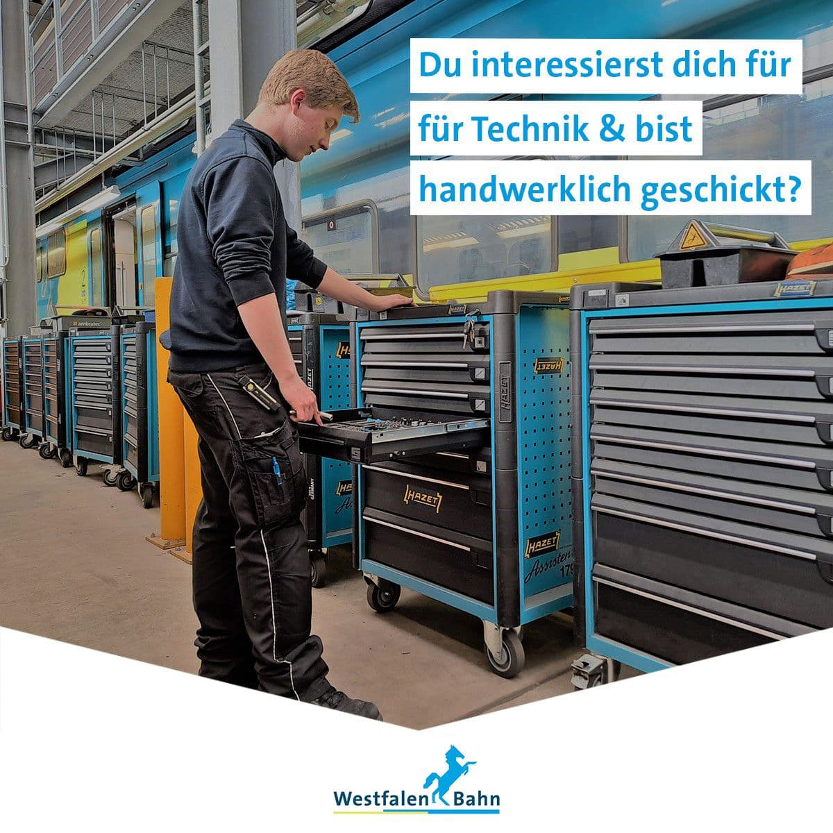 Bild Nr. 1 aus der Gallerie