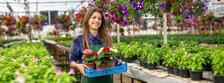 Bild von Florist/in