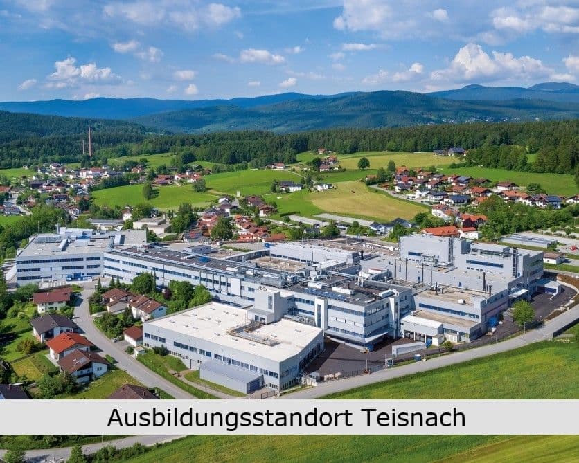 Bild Nr. 4 aus der Galerie