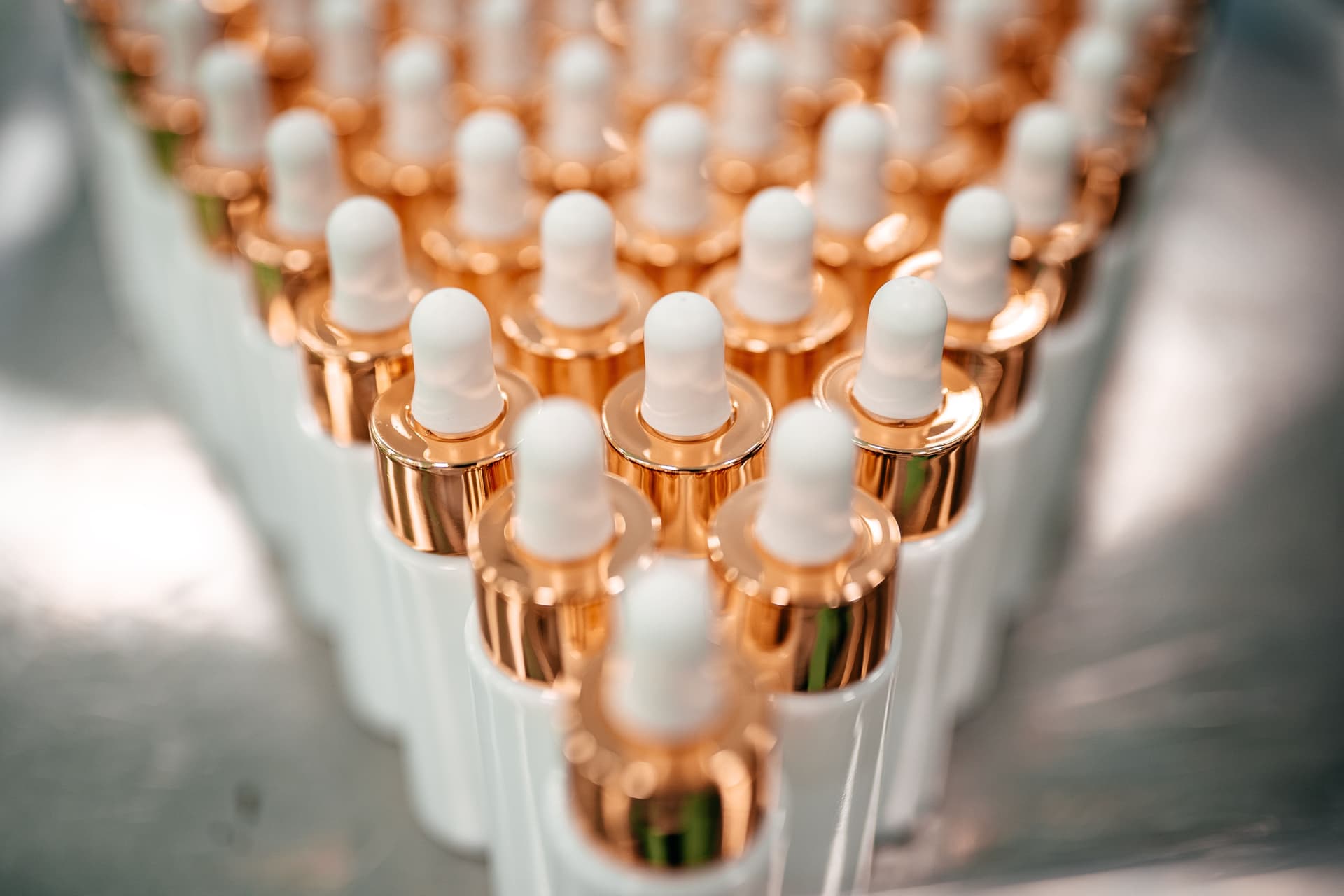 Bild Nr. 18 aus der Gallerie