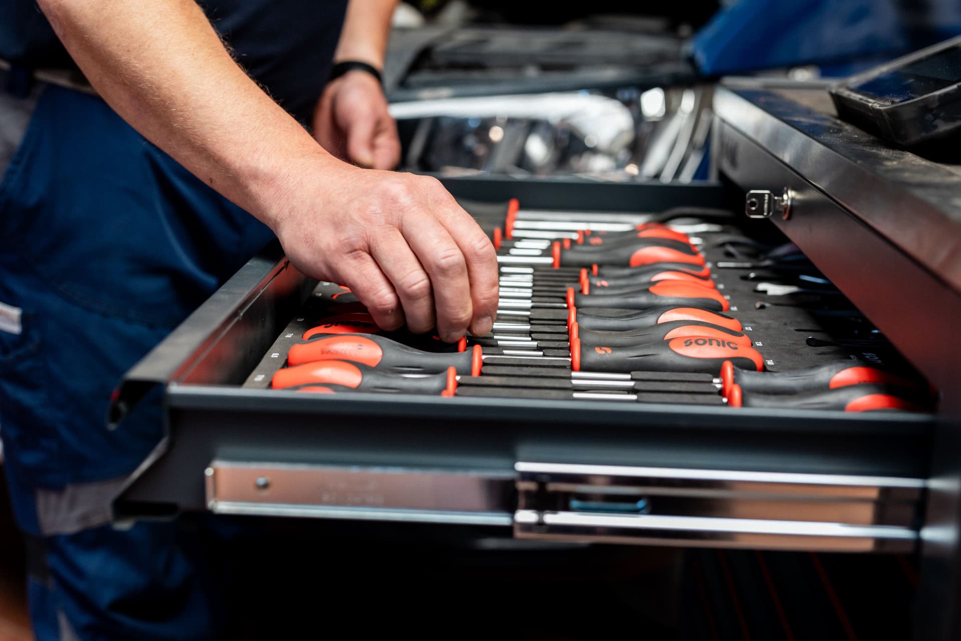 Bild Nr. 12 aus der Gallerie