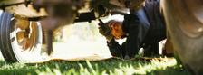 Bild von Land- und Baumaschinenmechatroniker/in