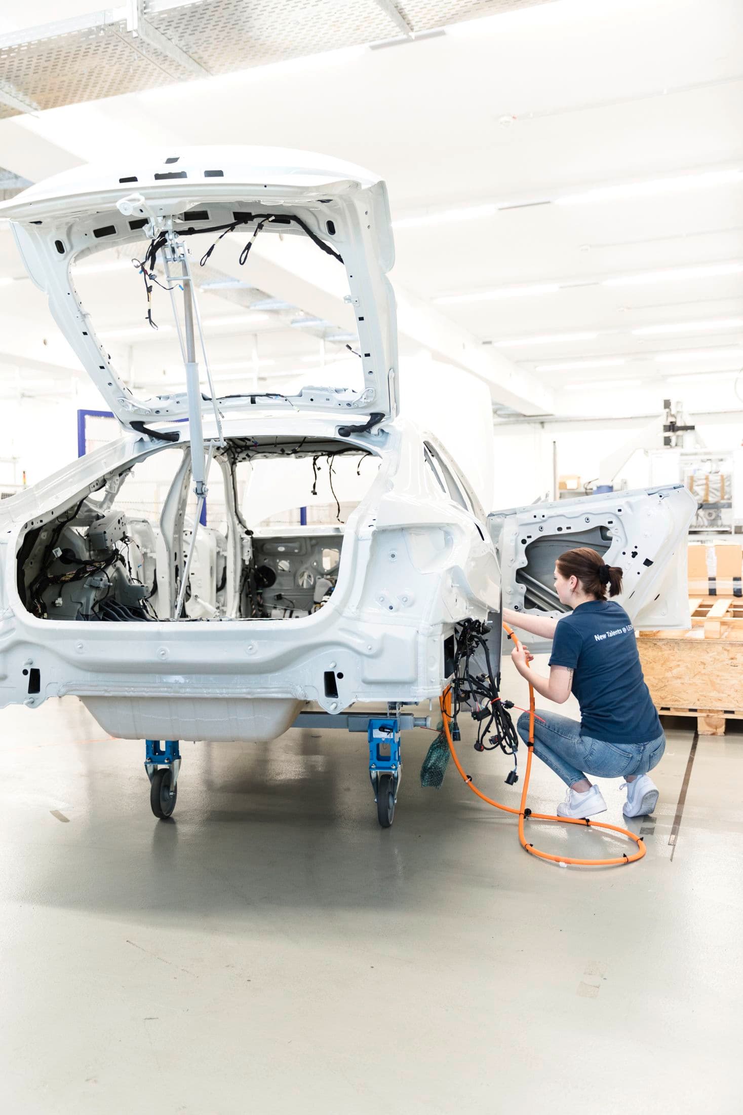 Bild Nr. 2 aus der Galerie