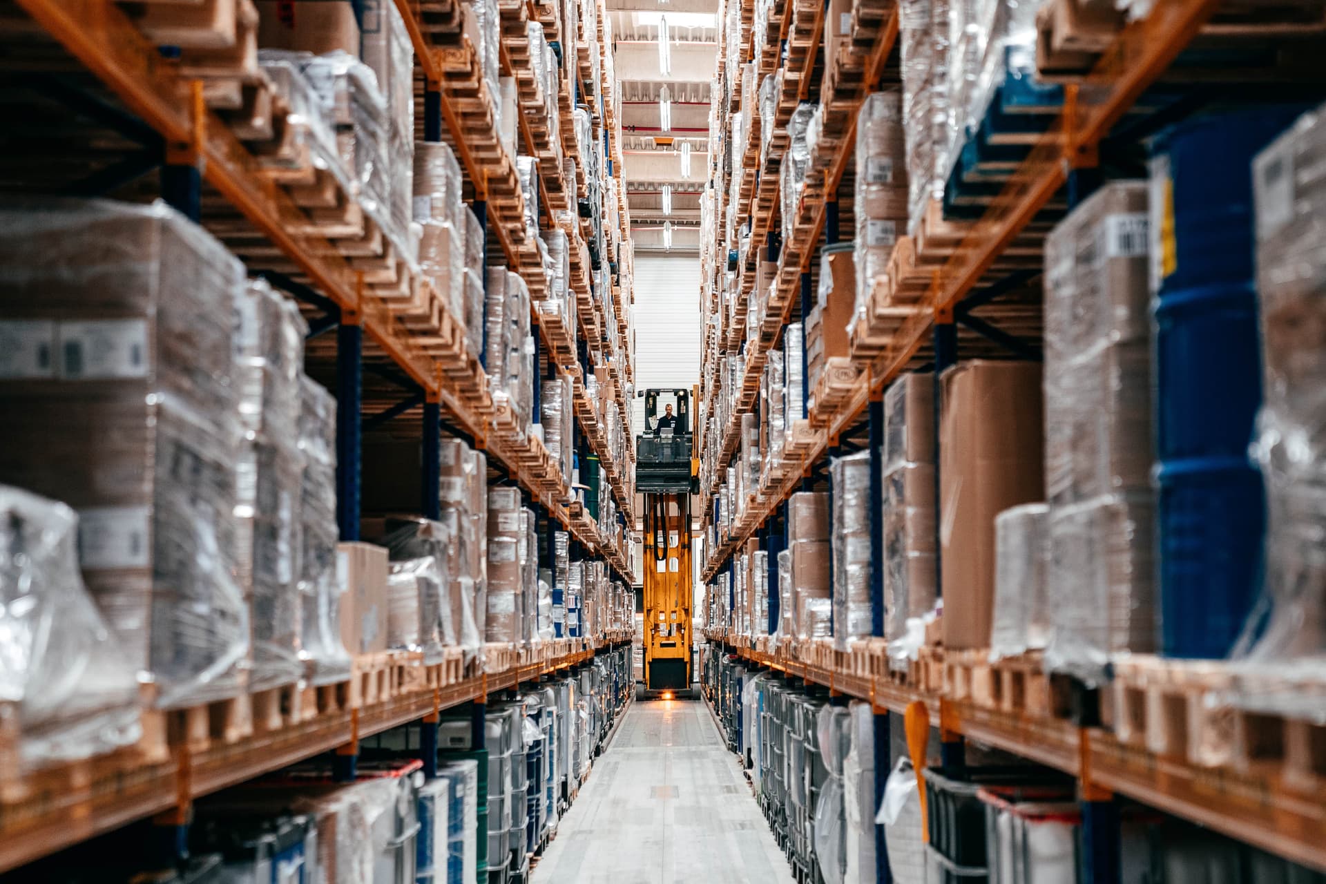 Bild Nr. 1 aus der Gallerie