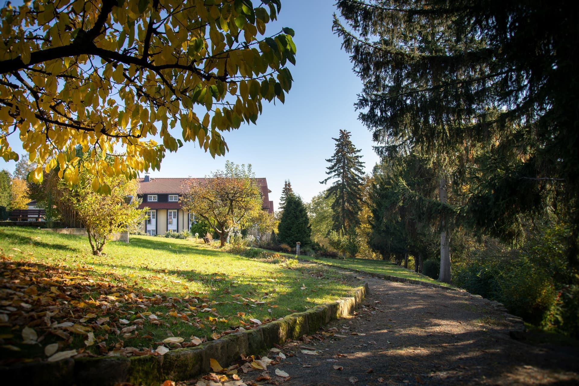 Bild Nr. 3 aus der Galerie