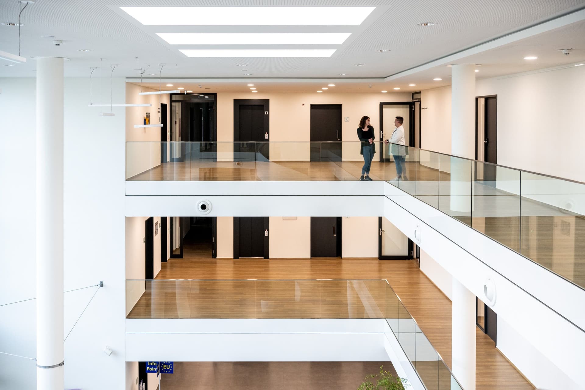 Bild Nr. 1 aus der Gallerie