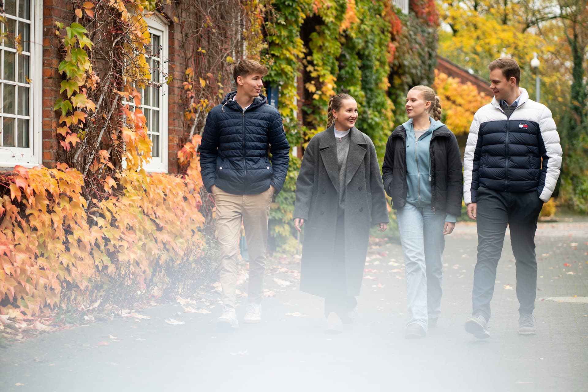 Bild Nr. 4 aus der Gallerie