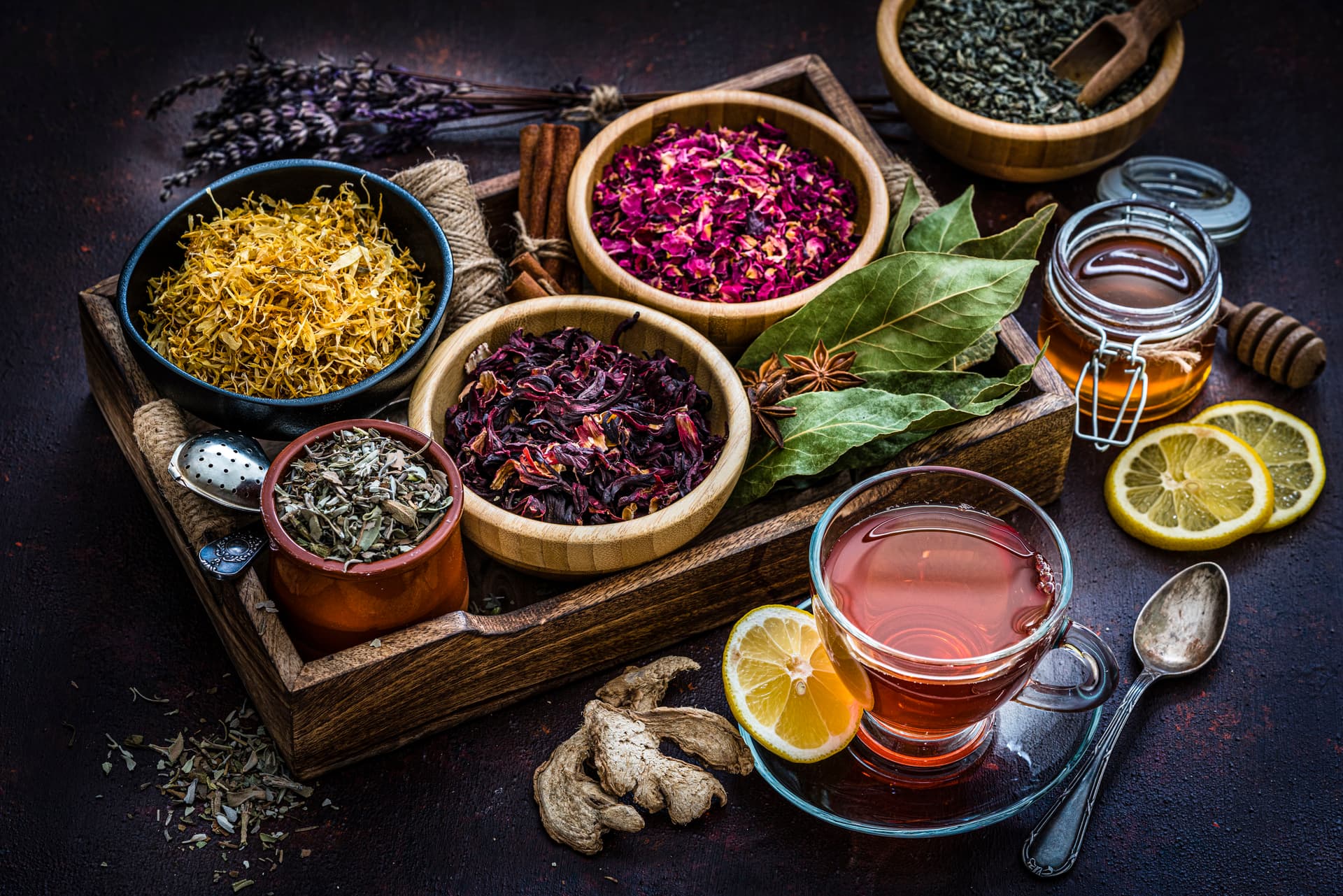 Bild Nr. 5 aus der Gallerie