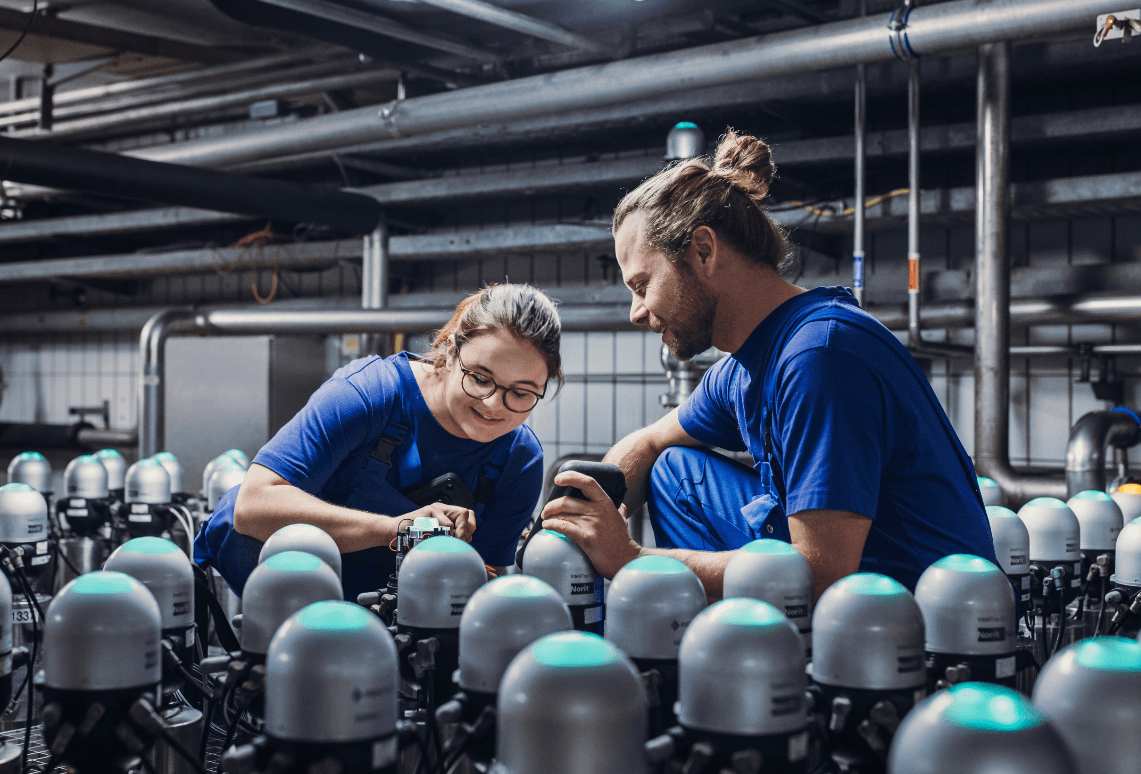 Bild Nr. 3 aus der Gallerie