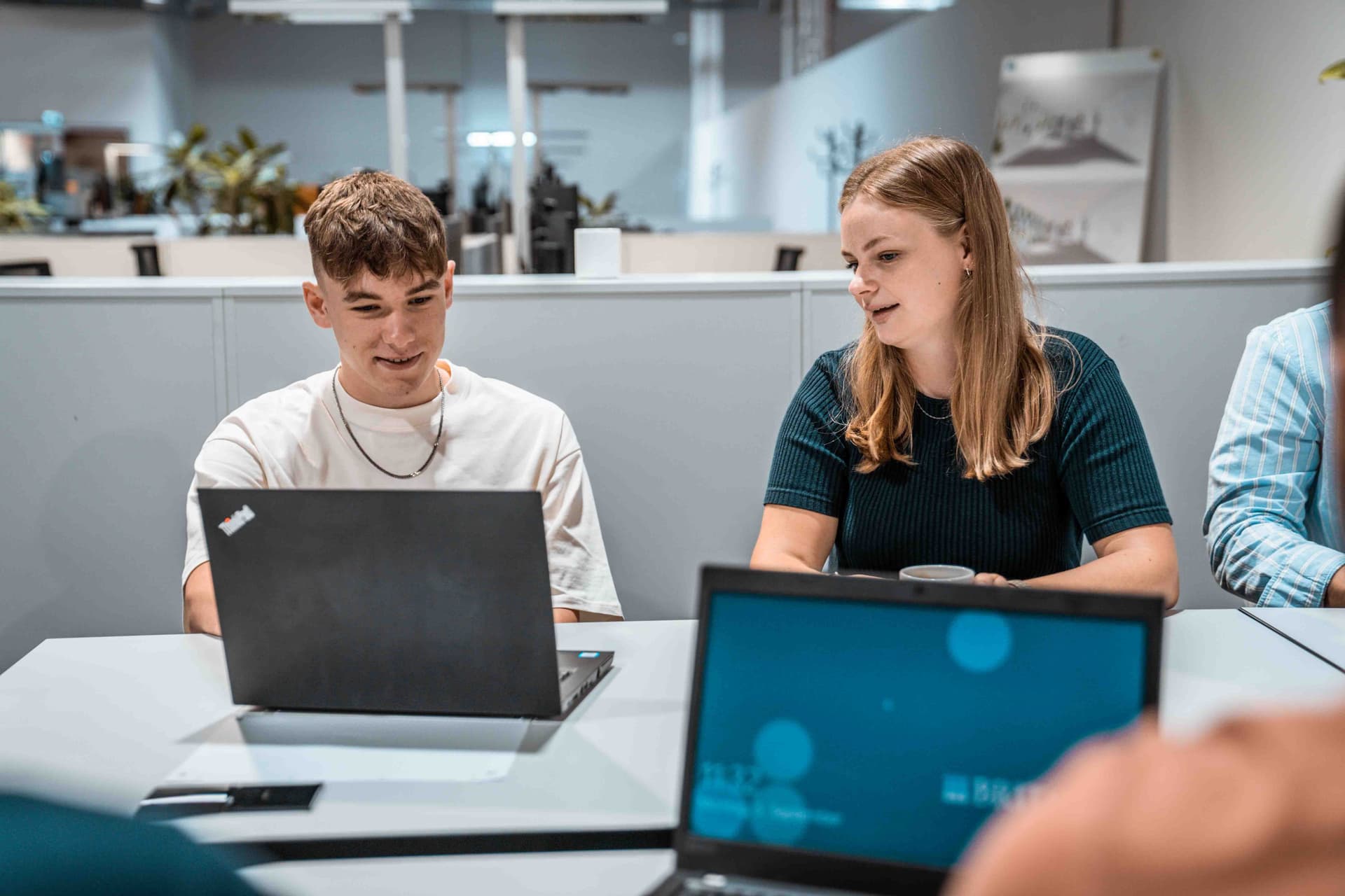 Bild Nr. 2 aus der Galerie