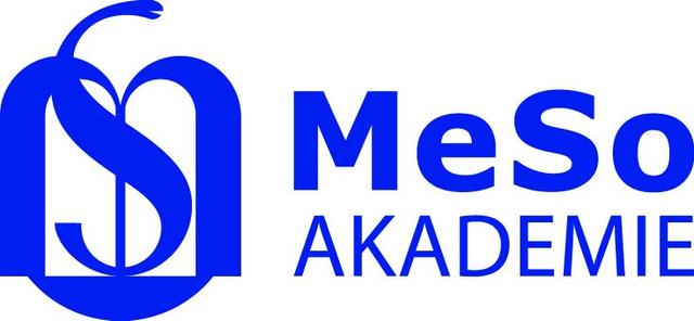Logo von MeSo Akademie gemeinnützige GmbH
