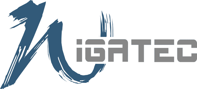 Logo von IGATEC GmbH