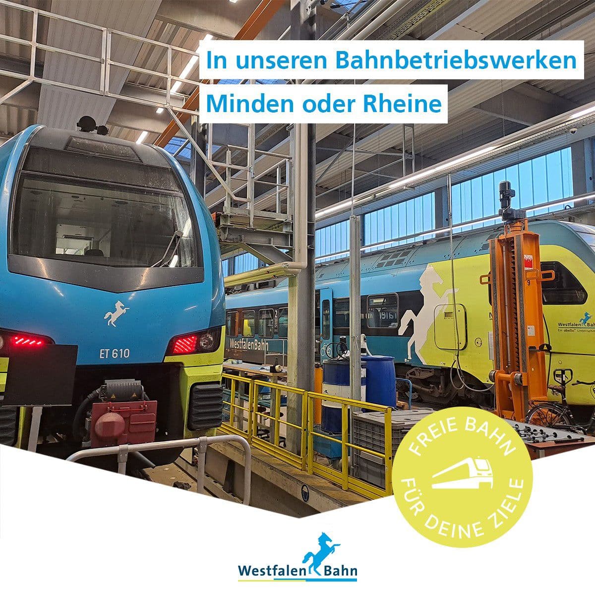 Bild Nr. 3 aus der Gallerie