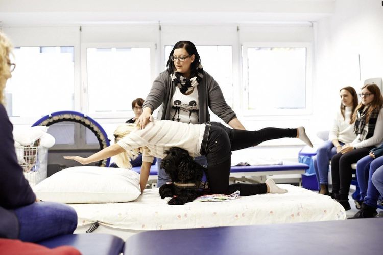 Ausbildung zum Physiotherapeut/in bei IB Medizinische Akademie in Hamburg