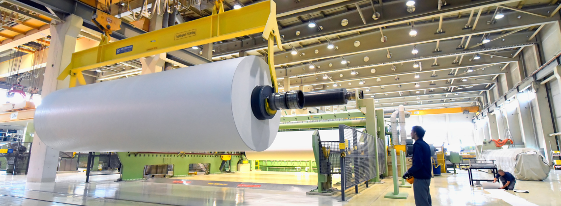 Bild von Papiertechnologe/-technologin