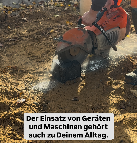 Bild Nr. 4 aus der Galerie