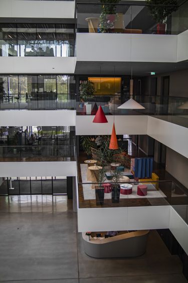 Bild Nr. 5 aus der Galerie
