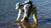 Bild von Fischwirt/in