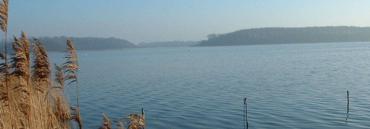 Search header image kiel gro