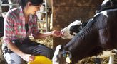 Bild von Landwirt/in