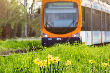 Bild von Unternehmen Rhein-Neckar-Verkehr GmbH