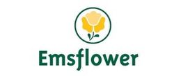 Logo Emsflower GmbH
