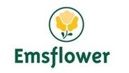 Logo des Unternehmens