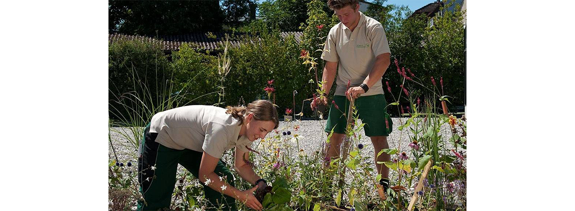Ausbildung zum Landschaftsgärtner bei Die Landschaftsgärtner
