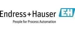 Logo Endress+Hauser