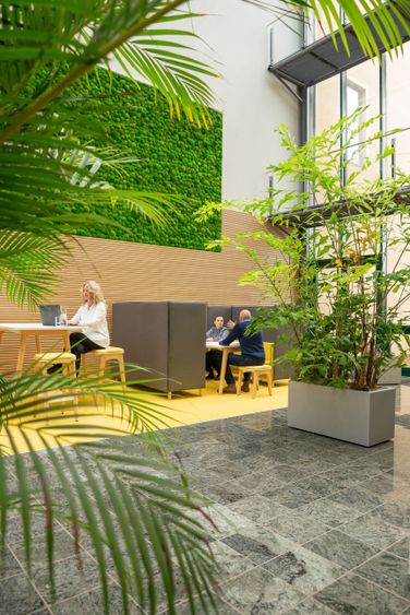 Bild Nr. 5 aus der Galerie