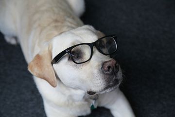 Bild von Unternehmen komm.passion GmbH