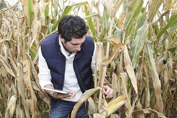 Sugar image ausbildung zum lebensmittelkontrolleur