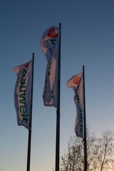 Bild Nr. 9 aus der Galerie
