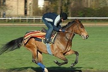 Bild der Stadt Duales Studium Neuss